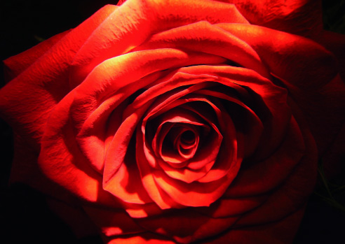 brochure cees oosterom
design en communicatie